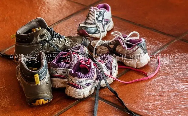 b体育官方下载入口最新版汉得信息**享受时尚与清爽：椰汁口味的运动鞋**