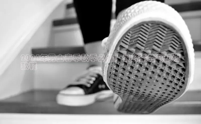 bsports网页版登录官方入口雷柏科技2024年男士春季秋季必备：最舒适的气垫爆
款鞋