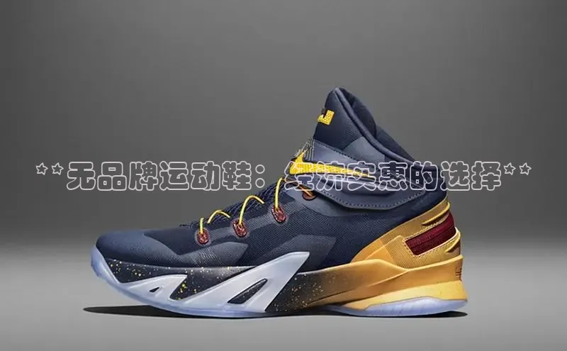 B体育官方入口APP挪威主权基金**无品牌运动鞋：经济实惠的选择**