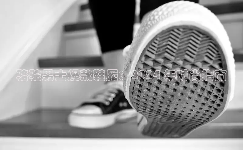 B体育官方网站入口官网百度智能云骆驼男士爆款鞋履：2024 年时尚指南