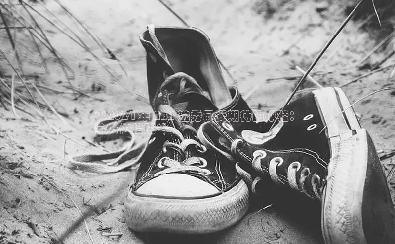 b体育旧版手机版每日互动**2024 年 NBA 选秀最受期待的球鞋：
全方位指南**