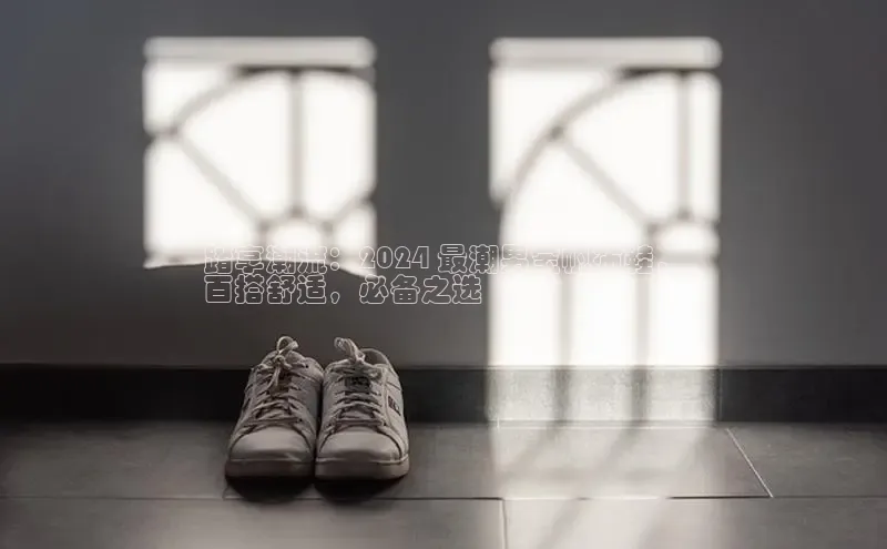B体育网页版在线登录官网一径科技踏享潮流：2024 最潮男宝帆布鞋，
百搭舒适，必备之选