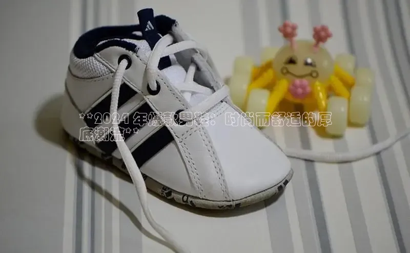 Bsport·B体育百度社团赞助平台**2024 年爆款男鞋：时尚而舒适的厚
底潮流**