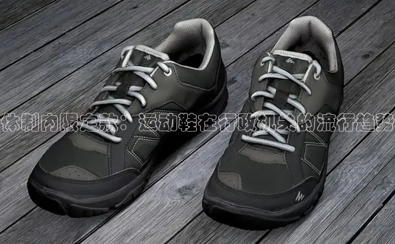 b体育旧版手机版百度众测体制内限定款：运动鞋在行政机关的流行趋势