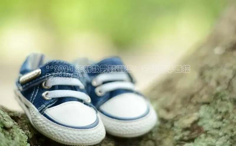 b体育在线登录网页版百度翻译**2024 年新款男鞋潮流：今秋冬季百搭
时尚必备**