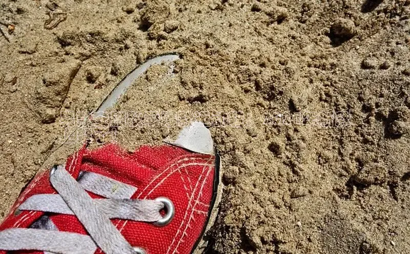 Bsport·B体育美团男款安踏秋季爆款运动鞋：2024年新款
上架了！