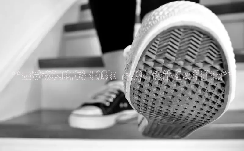 b体育登录入口app下载安装免费58同城**最受欢迎的虎运动鞋：品牌、设计和风格指南**