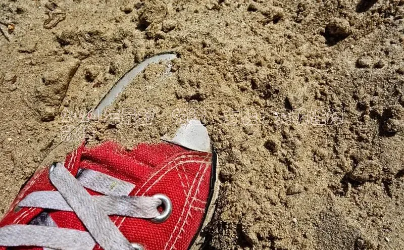 必一运动官网百度取证2024 年最舒適的透氣女鞋：突破性爆
款推薦