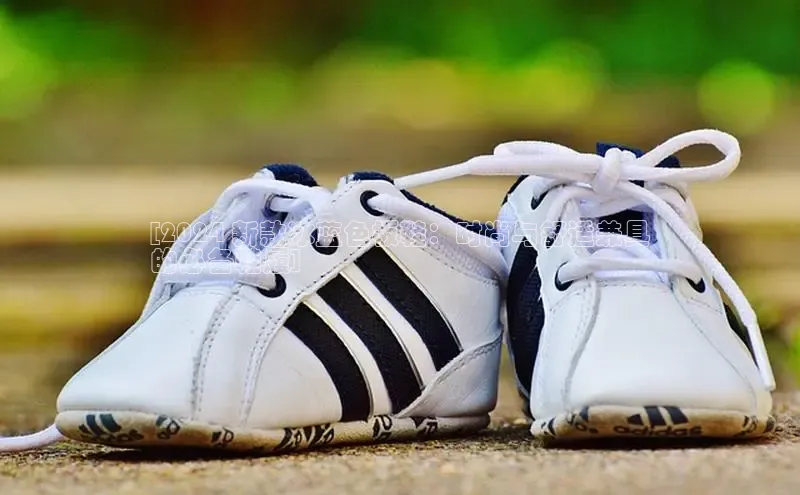 B体育手机版下载app小度商城[2024 新款冰蓝色板鞋：时尚与舒适兼具
的必备鞋履]