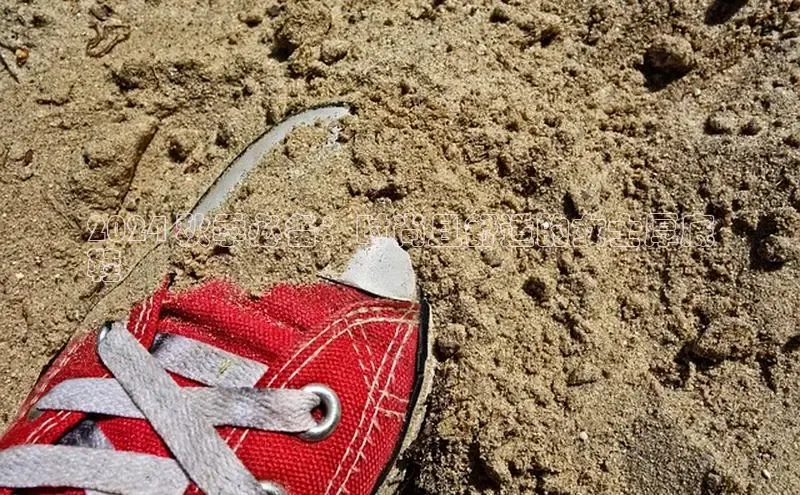 必一运动官网金山办公2024 秋季必备：时尚且舒适的女士厚底
鞋