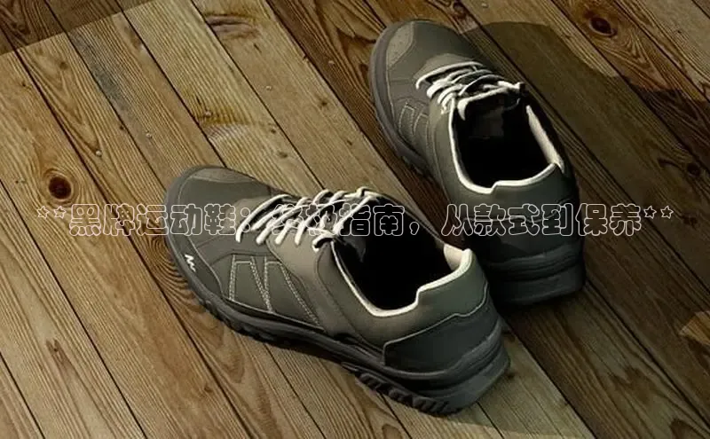 B体育官方网站入口官网百度技术学院**黑牌运动鞋：终极指南，从款式到保养**