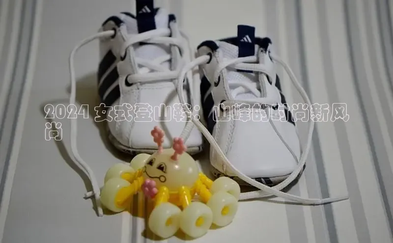 Bsports在线登录入口普信公司2024 女式登山鞋：山峰的时尚新风
尚