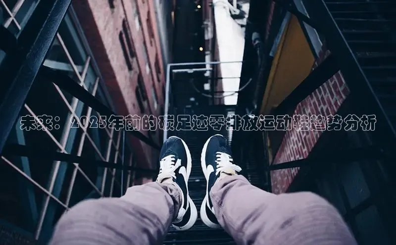 bsport体育官方网站BSPORTS携程未来：2025年前的碳足迹零排放运动鞋趋势分析