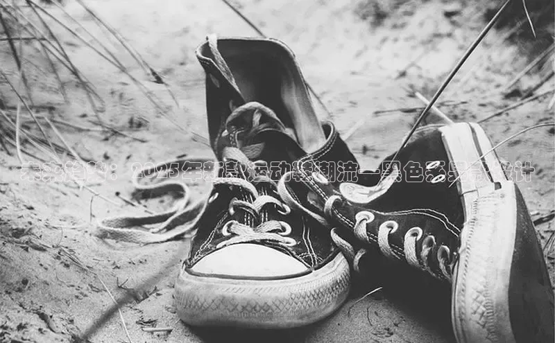 未来趋势：2025年新款运动鞋潮流—黑色系男款设计