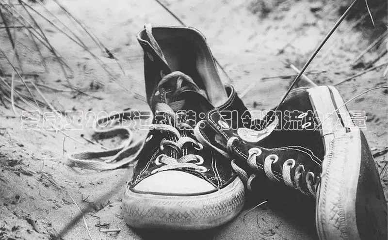 爱威亚2025运动鞋：引领潮流的力量