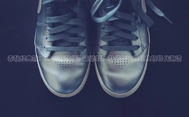 春秋经典款：2025新款爆款运动鞋，引领你回归经典的现代潮流