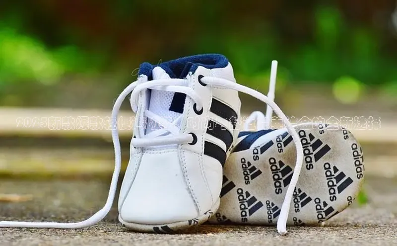 Bsport体育在线官网