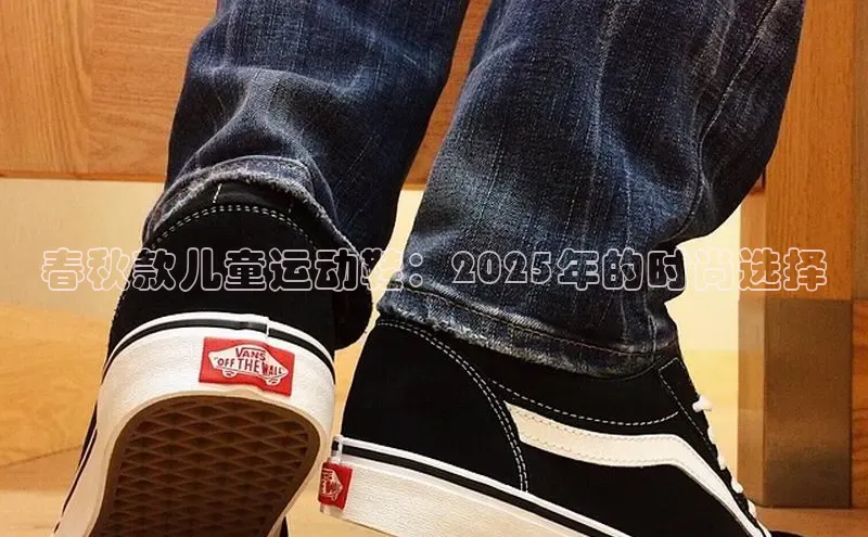 B·体育APP登录入口