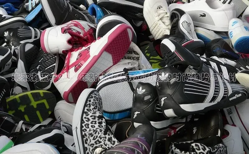 b体育官方下载入口最新版